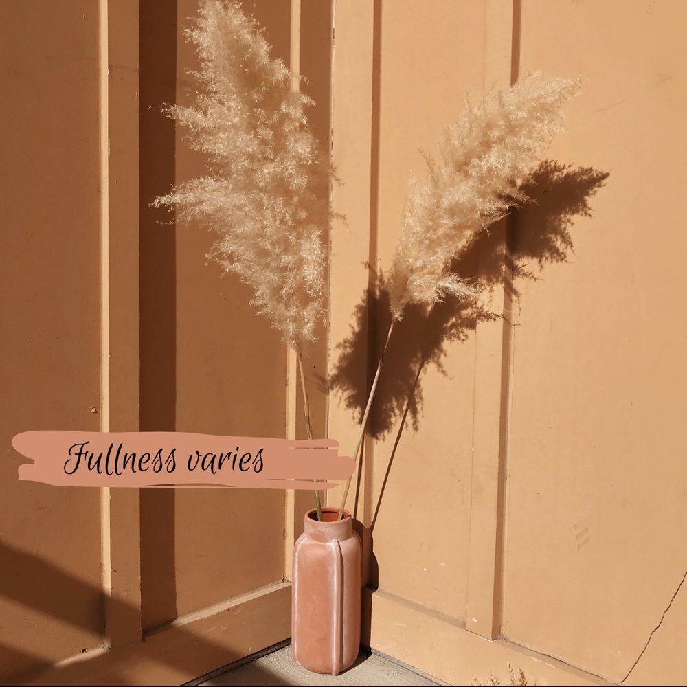 Pampas Grass - Any Interest?? Let me know!!! - Picture 4 of 5
